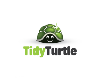应用程序开发团队TidyTurtle乌龟