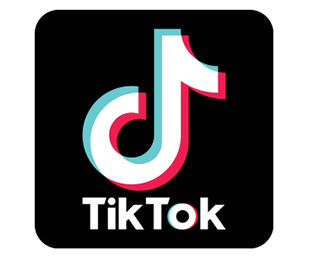 北京字节跳动科技有限公司 旗下海外短视频TikTok