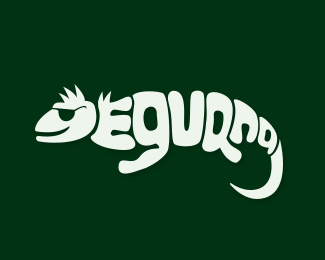 蜥蜴标志eguana
