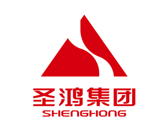 浙江圣鸿集团logo设计