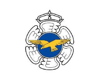 芬兰空军2020年标志