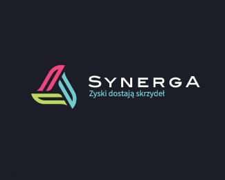 风能可再生能源公司Synerga