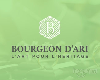 Bourgeon D'ari logo设计欣赏