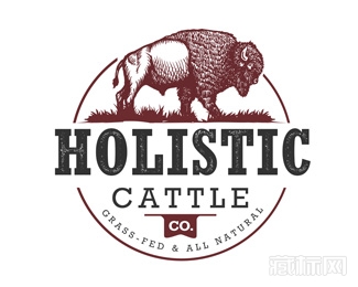 Holistic Cattle牛logo设计欣赏