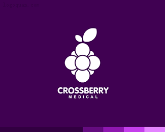 CrossBerry医疗