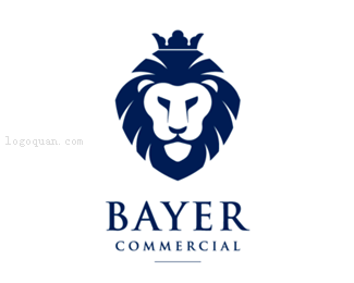 Bayer咨询公司
