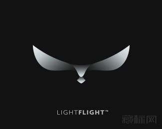 LightFlight眼睛标志设计欣赏