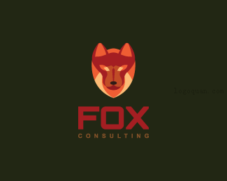 Fox咨询