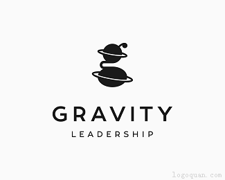 Gravity咨询公司