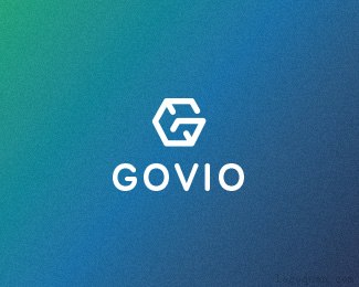 Govio投资公司logo