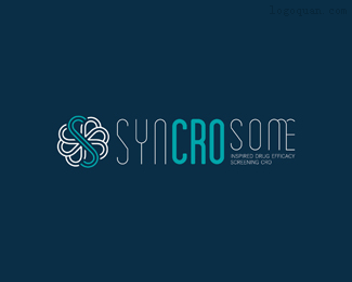 Syncrosome