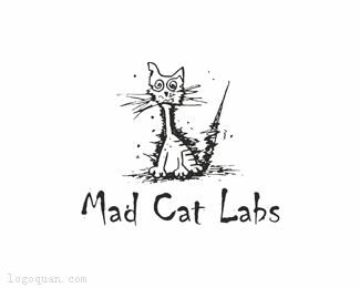 疯猫实验室