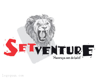 Setventure标志