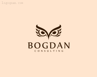 Bogdan咨询公司