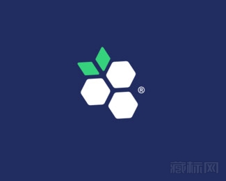 Anderberry手榴弹logo设计