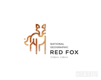 RED FOX红狐狸简笔画logo设计