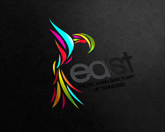 彩色鹦鹉logo设计