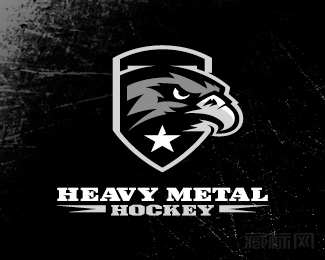 Heavy Metal曲棍球队标识