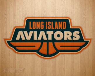 Long Island Aviators标志图片