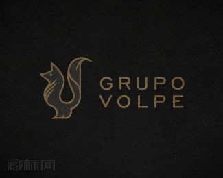 Grupo Volpe营销公司logo