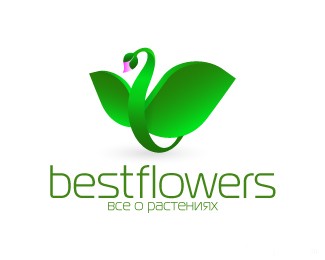 鲜花店bestflowers