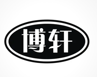 广安博轩科技电脑设备标志设计