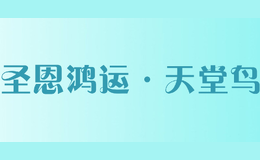 圣恩鸿运·天堂鸟