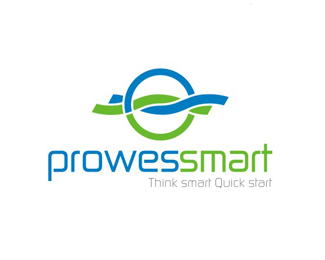 投资网站标志Prowessmart